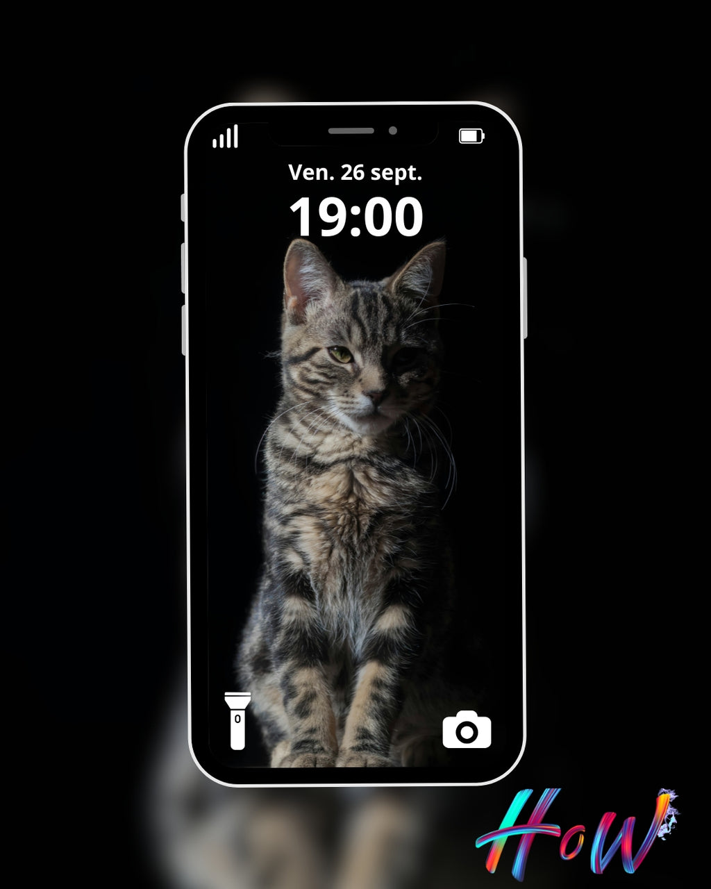 🐾20 Cat Wallpapers 🐾