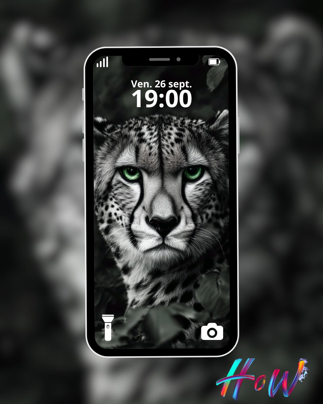 9 Wild Cat Wallpapers 🐆 + FREE 6 Abstract Bonus