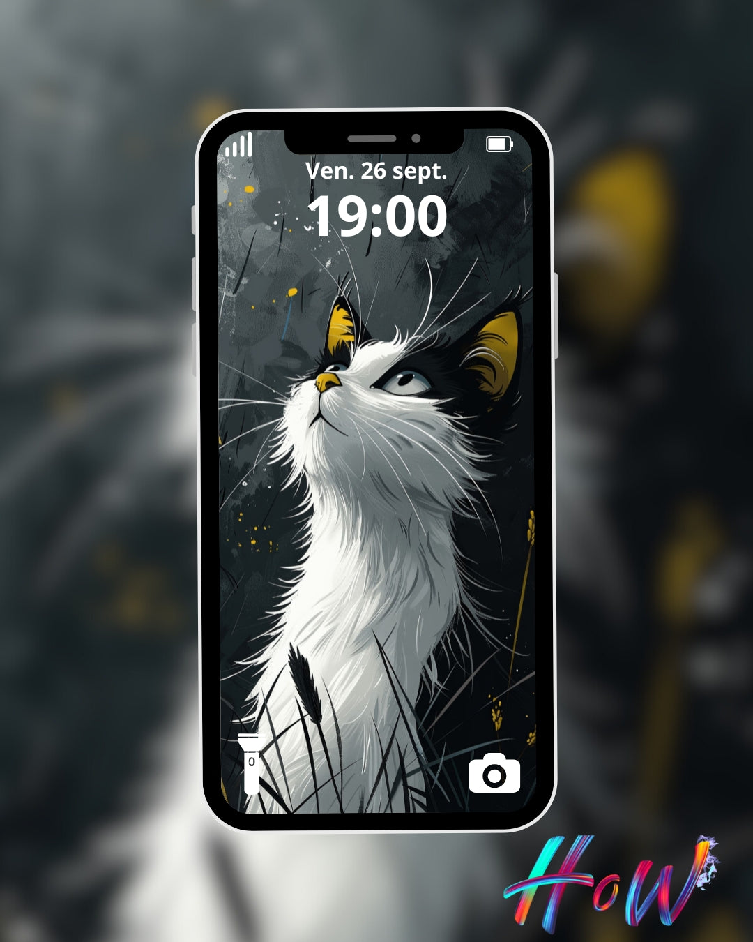 🐾20 Cat Wallpapers 🐾