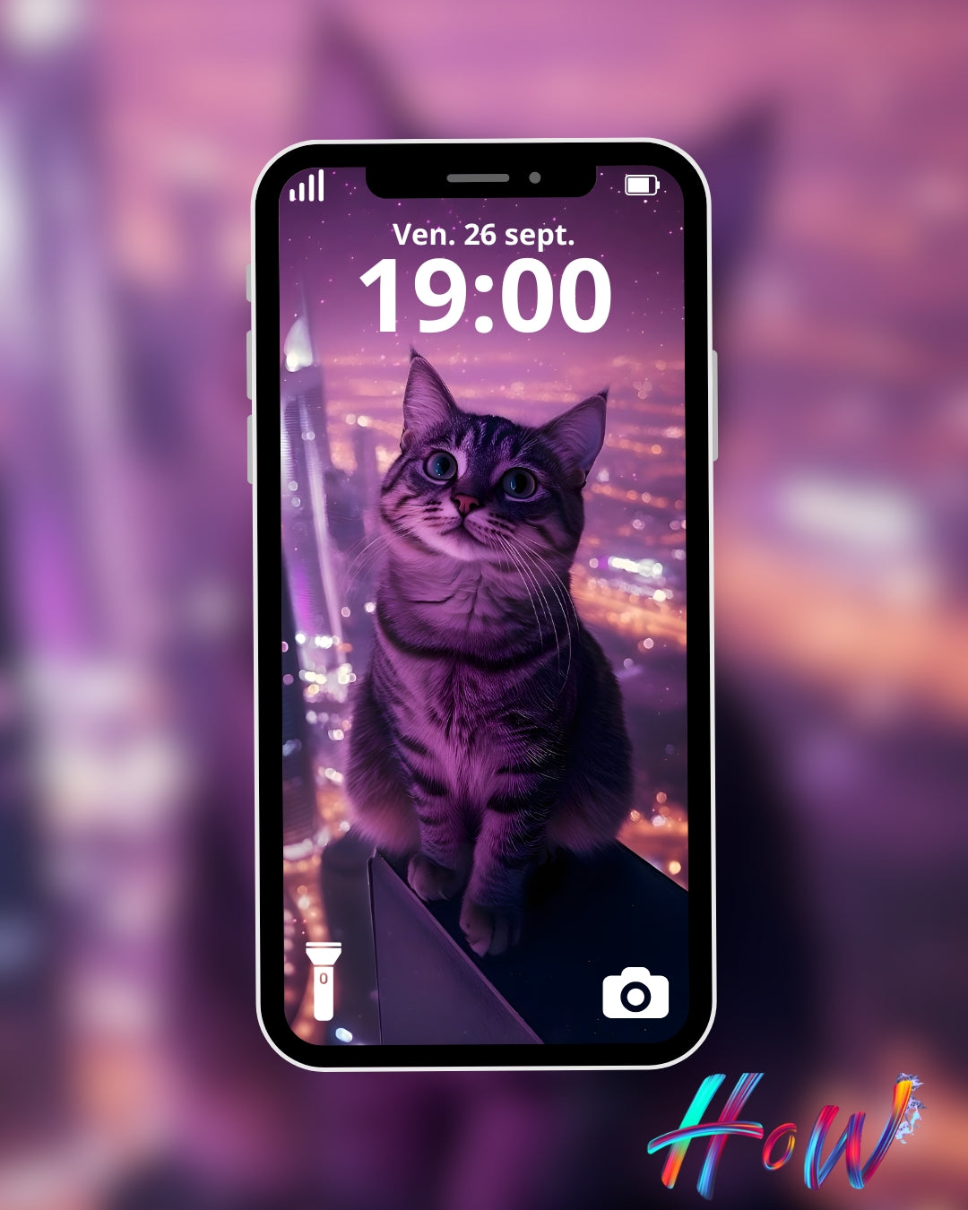 🐾20 Cat Wallpapers 🐾