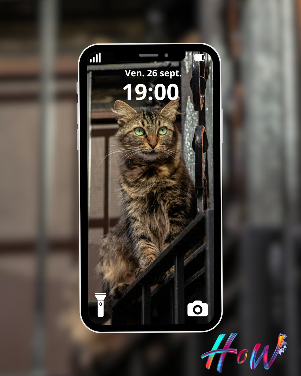 🐾20 Cat Wallpapers 🐾