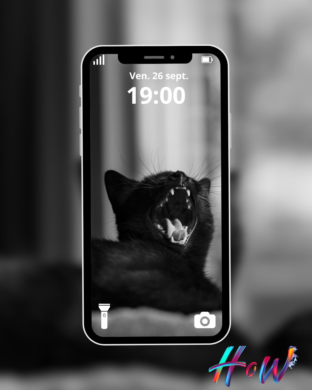 🐾20 Cat Wallpapers 🐾