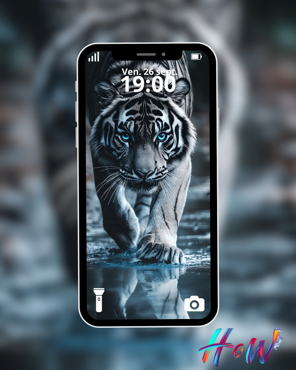 9 Wild Cat Wallpapers 🐆 + FREE 6 Abstract Bonus