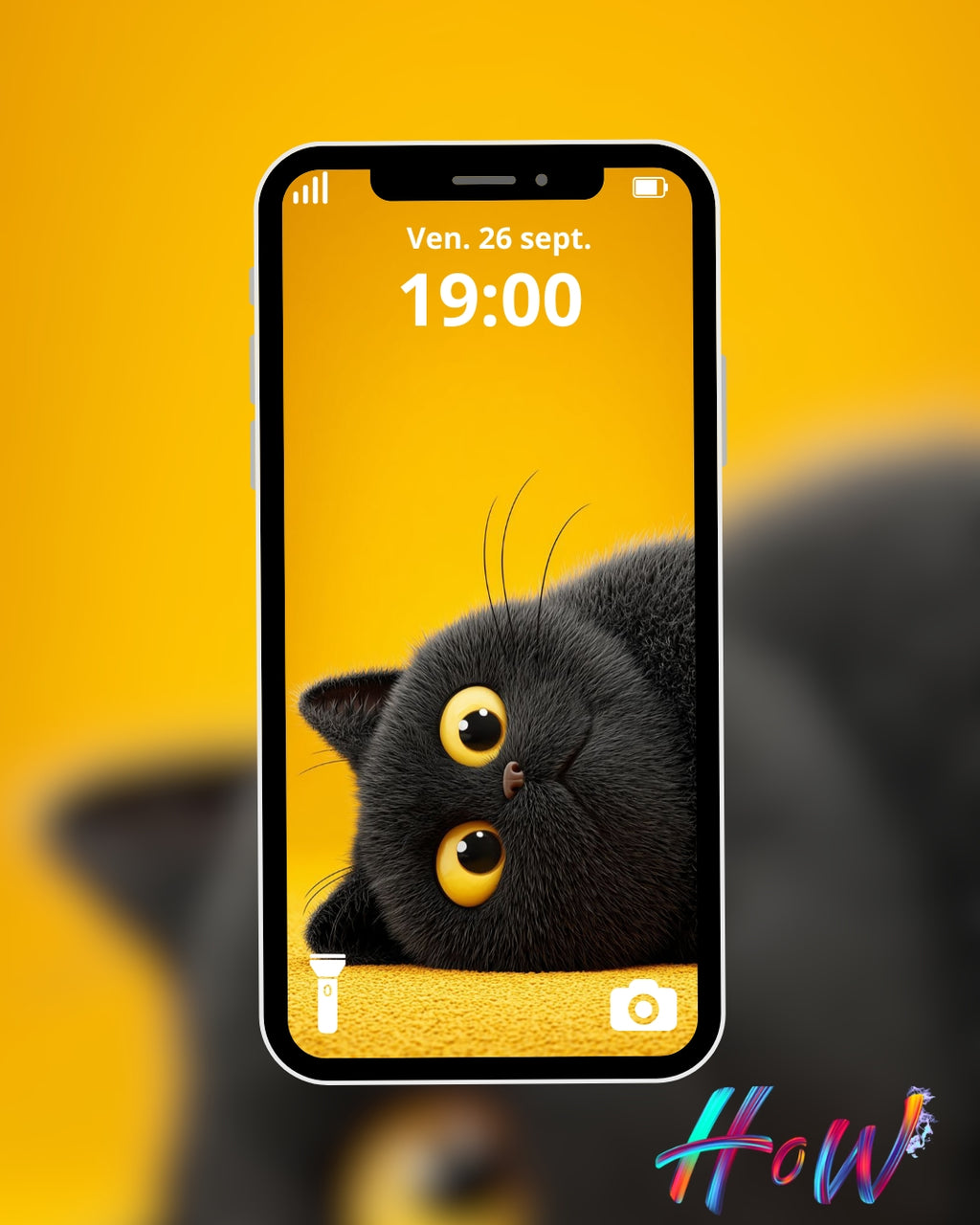 🐾20 Cat Wallpapers 🐾