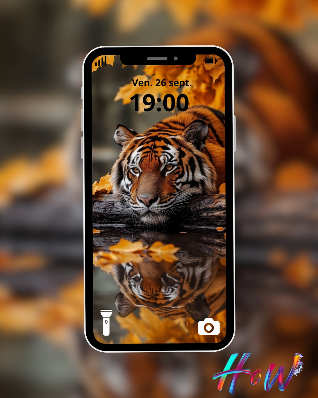 9 Wild Cat Wallpapers 🐆 + FREE 6 Abstract Bonus