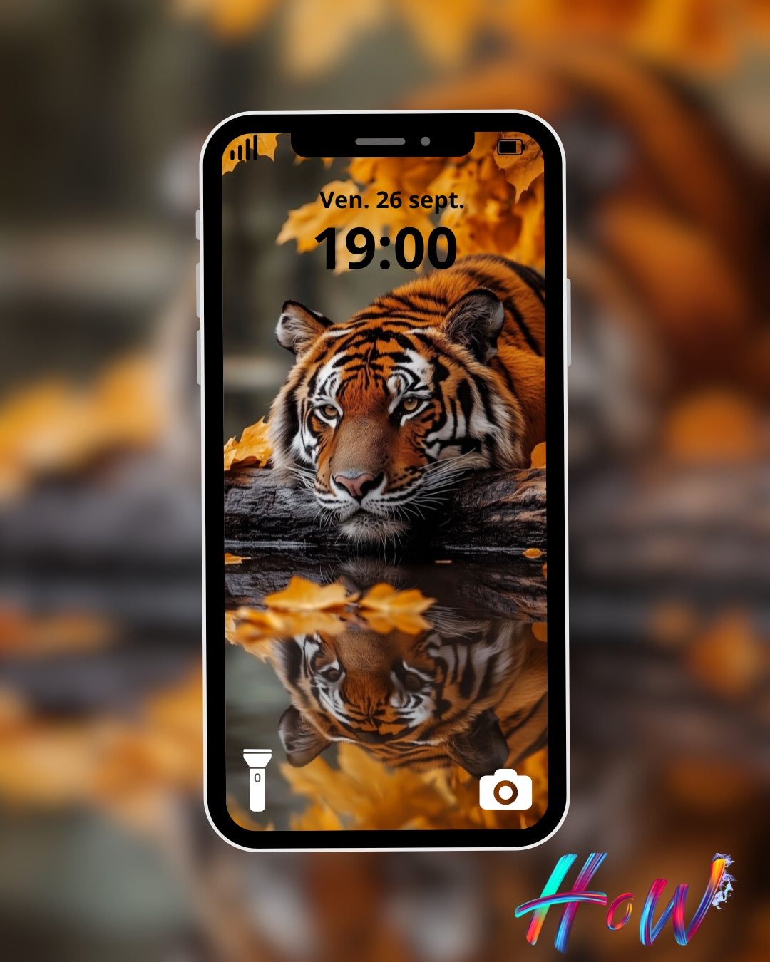 9 Wild Cat Wallpapers 🐆 + FREE 6 Abstract Bonus