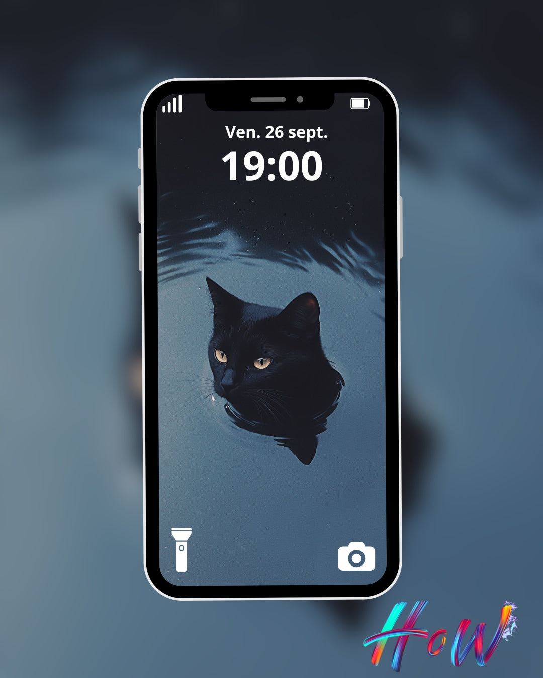 🐾20 Cat Wallpapers 🐾