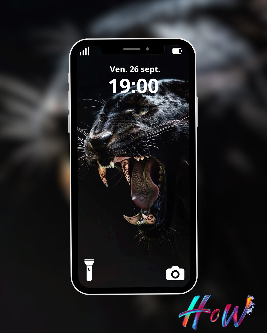 9 Wild Cat Wallpapers 🐆 + FREE 6 Abstract Bonus