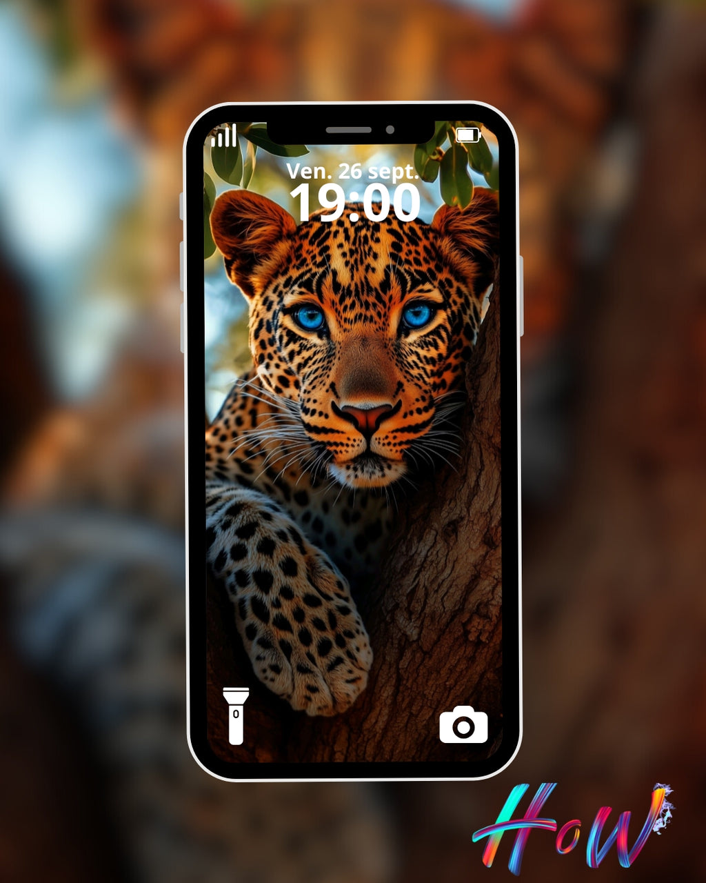 9 Wild Cat Wallpapers 🐆 + FREE 6 Abstract Bonus