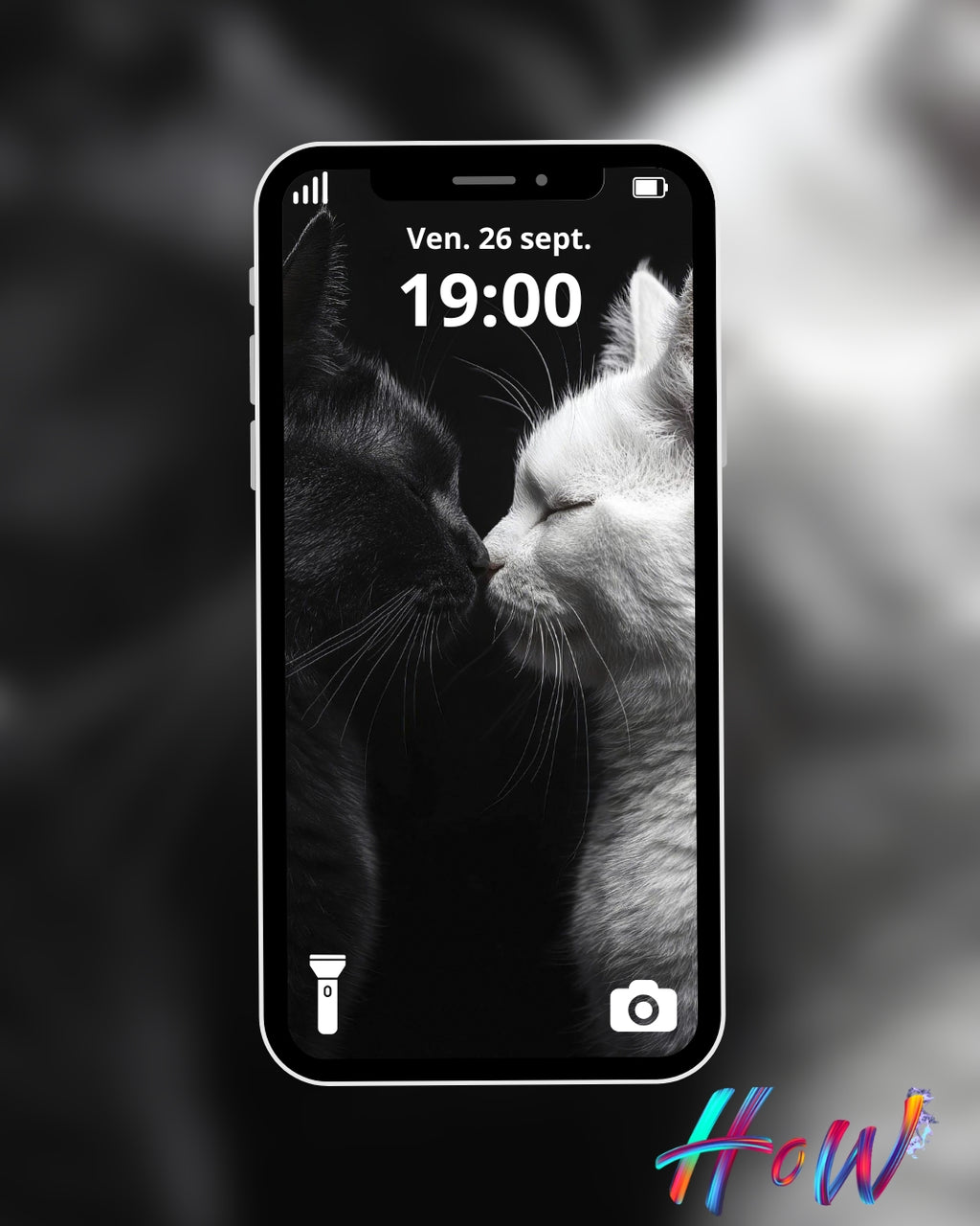 🐾20 Cat Wallpapers 🐾