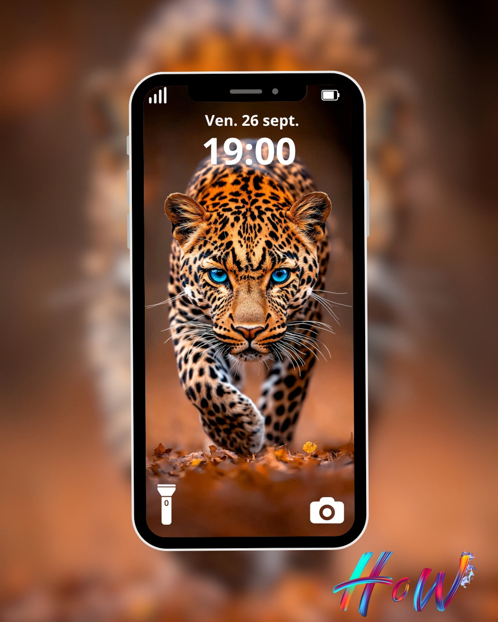 9 Wild Cat Wallpapers 🐆 + FREE 6 Abstract Bonus
